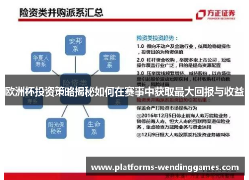 欧洲杯投资策略揭秘如何在赛事中获取最大回报与收益