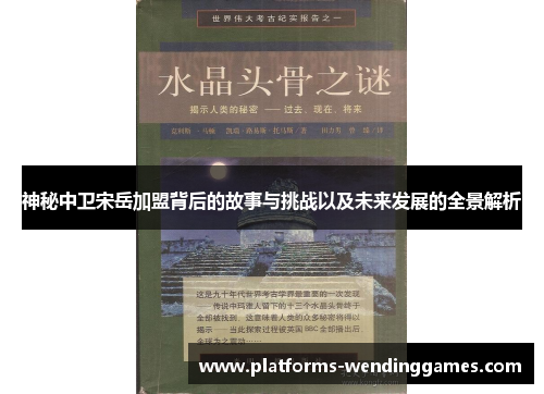 神秘中卫宋岳加盟背后的故事与挑战以及未来发展的全景解析