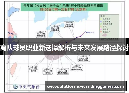 离队球员职业新选择解析与未来发展路径探讨