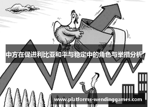 中方在促进利比亚和平与稳定中的角色与举措分析
