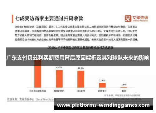 广东支付贝兹利买断费用背后原因解析及其对球队未来的影响