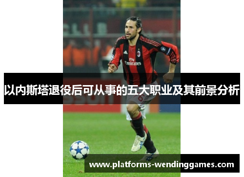 以内斯塔退役后可从事的五大职业及其前景分析