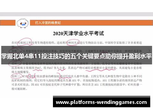掌握北单4串11投注技巧的五个关键要点助你提升盈利水平