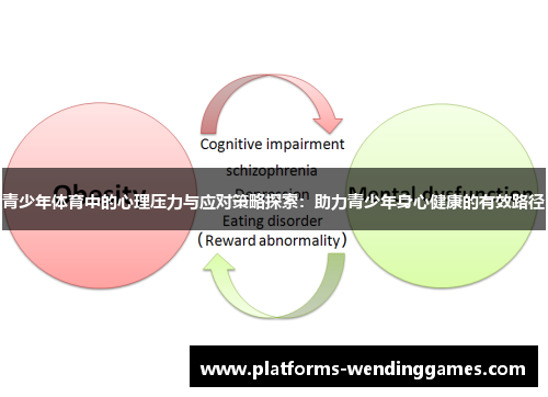青少年体育中的心理压力与应对策略探索：助力青少年身心健康的有效路径