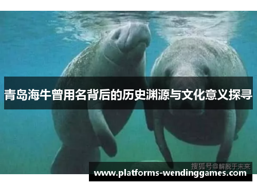 青岛海牛曾用名背后的历史渊源与文化意义探寻
