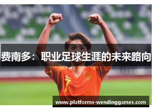 费南多:职业足球生涯的未来路向 费南多:职业足球生涯的未来路向