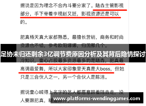 足协未归还剩余3亿调节费原因分析及其背后隐情探讨 足协未归还剩余3亿调节费原因分析及其背后隐情探讨