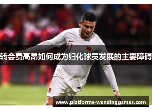 转会费高昂如何成为归化球员发展的主要障碍 转会费高昂如何成为归化球员发展的主要障碍