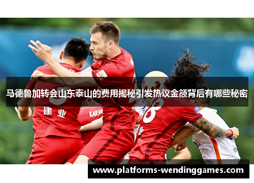 马德鲁加转会山东泰山的费用揭秘引发热议金额背后有哪些秘密