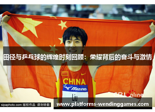 田径与乒乓球的辉煌时刻回顾：荣耀背后的奋斗与激情